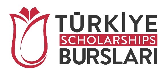 Türkiye Bursları Logo